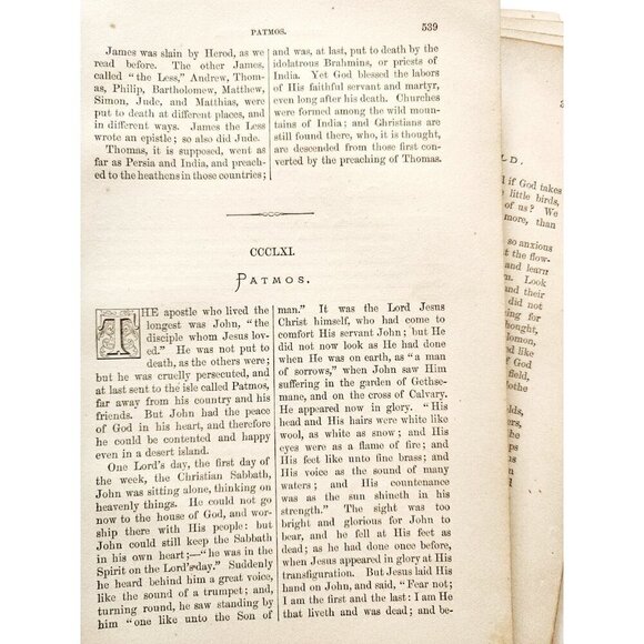 1873 Unbound Young People Illustrated Bible Victorian Ephemera 500 Pages LGDW11 - Picture 7 of 7